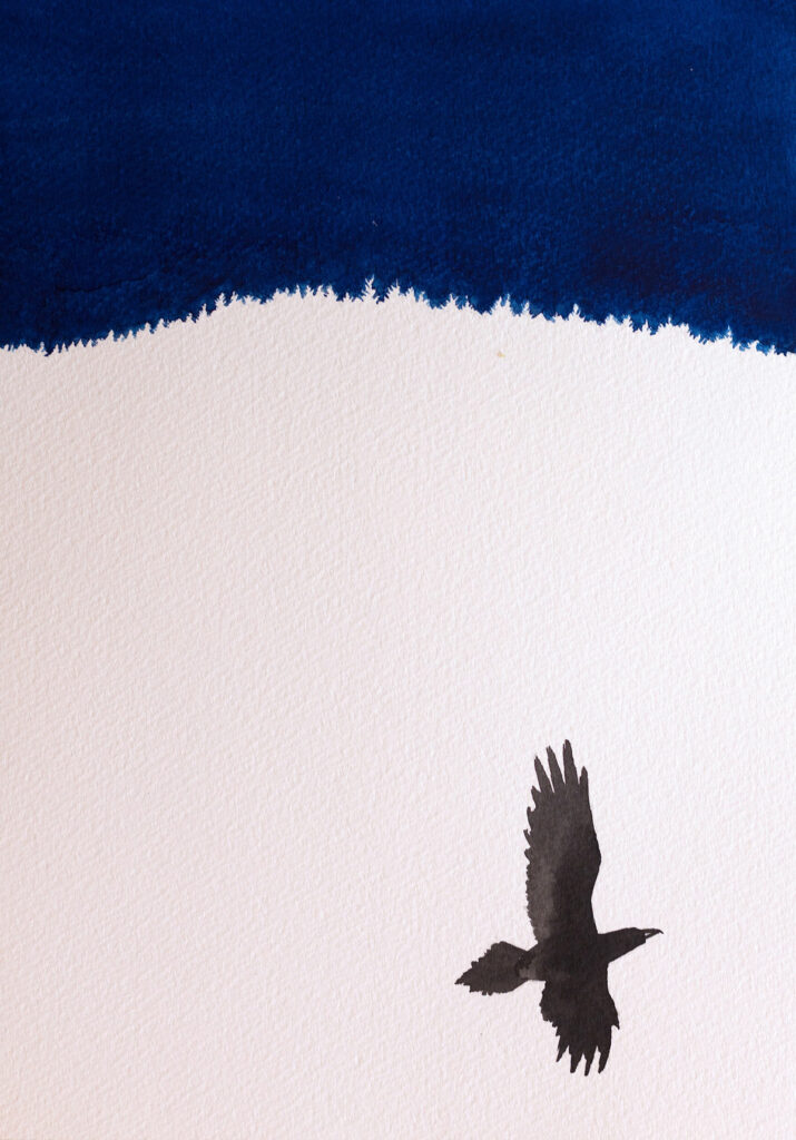 Watercolour painting of a Raven over a valley in Wales at night