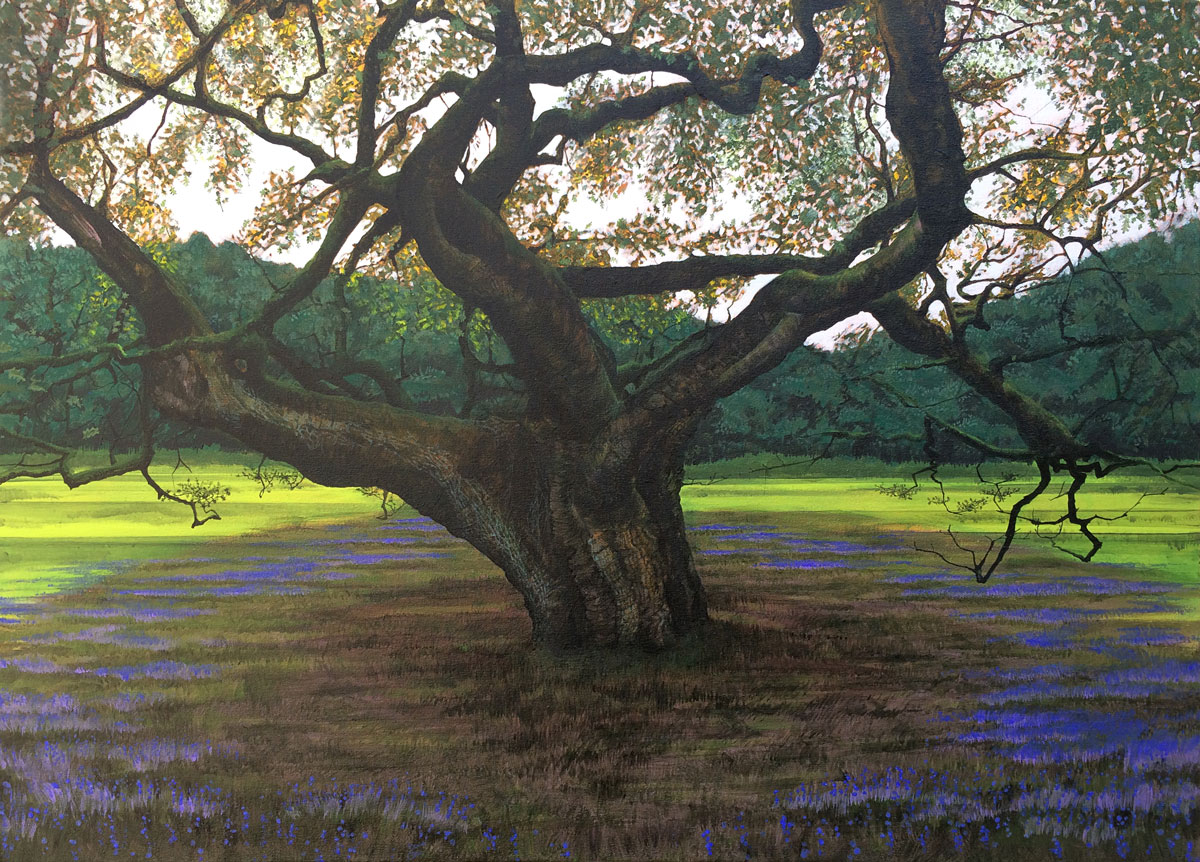 Painting of The Allerton Oak
